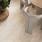 Mainstream Beige Керамогранит бежевый 60x120 Полированный_2
